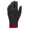 Rękawiczki Nike Liverpool FC Thermafit - HO23 FJ4857-010 czarny M